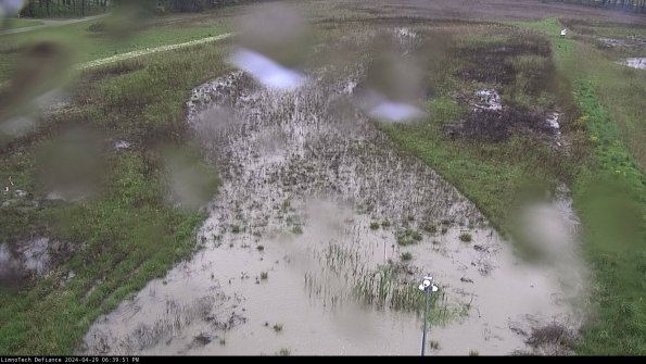 Cell 1_24-04-29_18-39-52-34