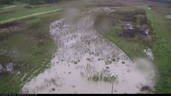 Cell 1_24-04-29_19-13-22-33