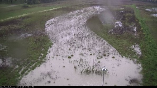 Cell 1_24-04-29_19-46-50-31