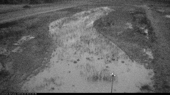 Cell 1_24-04-29_20-53-50-35