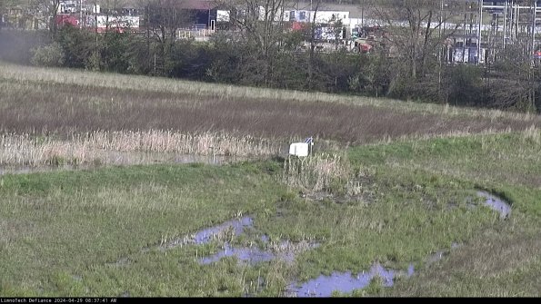 Cell 2 to 3_24-04-29_08-37-42-42