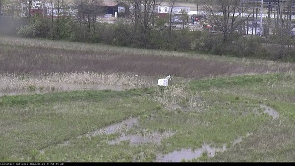 Cell 2 to 3_24-04-29_11-58-35-51