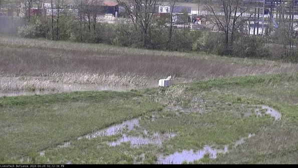 Cell 2 to 3_24-04-29_14-12-34-49