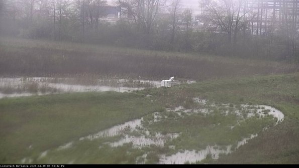 Cell 2 to 3_24-04-29_17-33-33-38