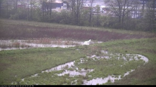 Cell 2 to 3_24-04-29_19-47-30-35