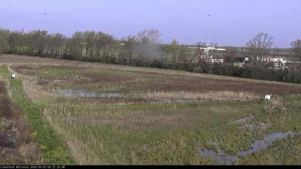 Cell 2_24-04-29_08-37-29-38