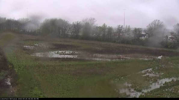 Cell 2_24-04-29_18-06-50-35