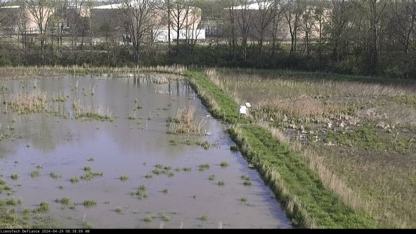 Cell 3 to 4_24-04-29_08-38-10-35