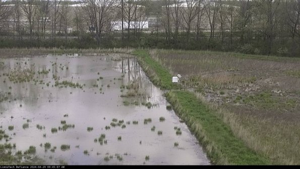 Cell 3 to 4_24-04-29_09-45-08-36