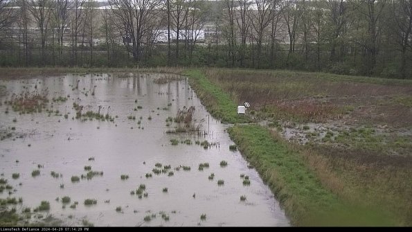 Cell 3 to 4_24-04-29_19-14-30-33