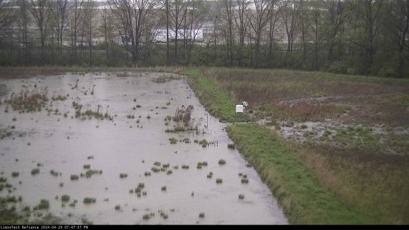 Cell 3 to 4_24-04-29_19-47-58-31