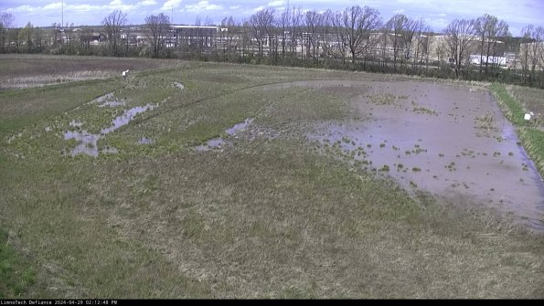 Cell 3_24-04-29_14-12-49-34