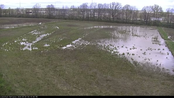 Cell 3_24-04-29_15-19-49-35