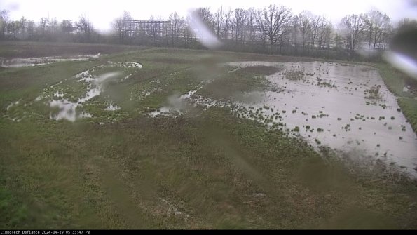 Cell 3_24-04-29_17-33-48-33