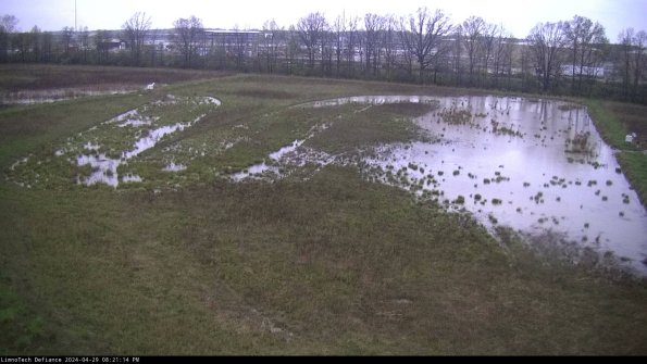 Cell 3_24-04-29_20-21-15-32