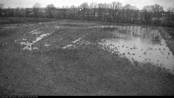 Cell 3_24-04-29_20-54-45-34