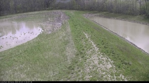 Cell 4 to Basin_24-04-29_11-59-48-35