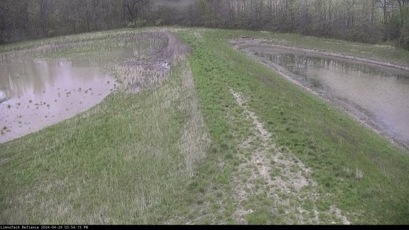 Cell 4 to Basin_24-04-29_15-54-16-36