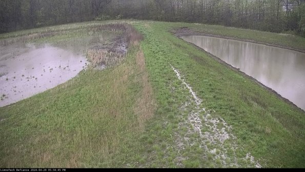 Cell 4 to Basin_24-04-29_17-34-46-35