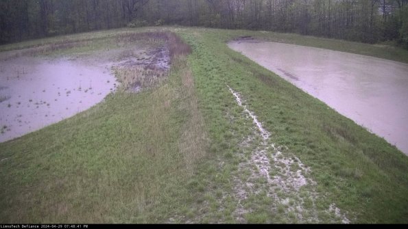 Cell 4 to Basin_24-04-29_19-48-42-36