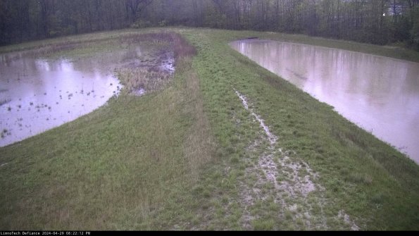 Cell 4 to Basin_24-04-29_20-22-13-35