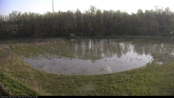 Cell 4_24-04-29_08-04-55-35