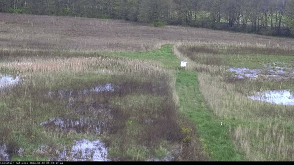 Cell 1 to 2_24-04-30_08-03-58-31