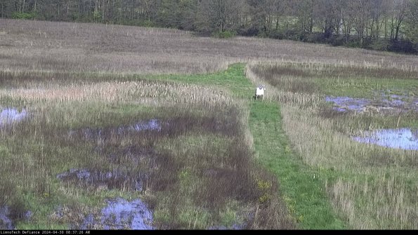 Cell 1 to 2_24-04-30_08-37-27-33