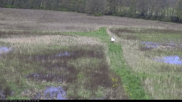 Cell 1 to 2_24-04-30_09-10-57-34