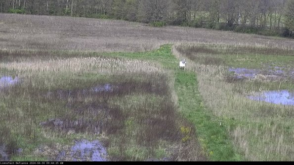 Cell 1 to 2_24-04-30_09-44-26-33