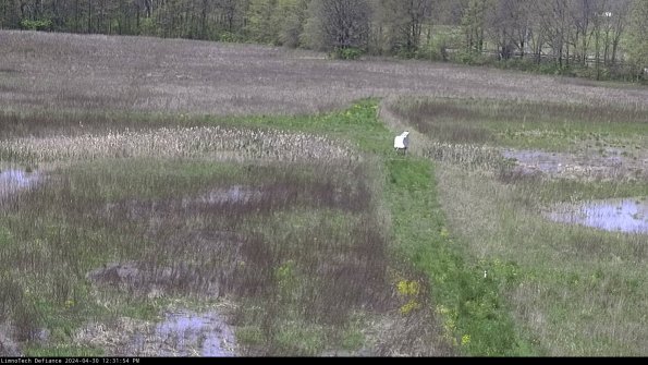 Cell 1 to 2_24-04-30_12-31-55-33