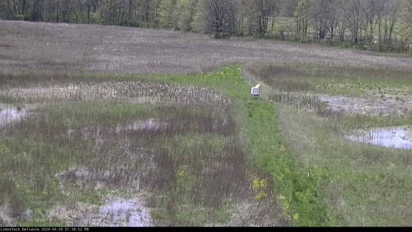 Cell 1 to 2_24-04-30_13-38-53-34