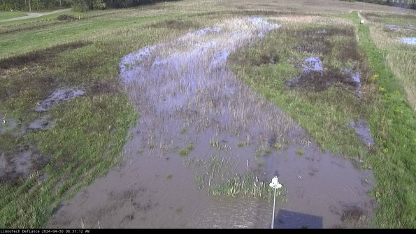 Cell 1_24-04-30_08-37-13-32