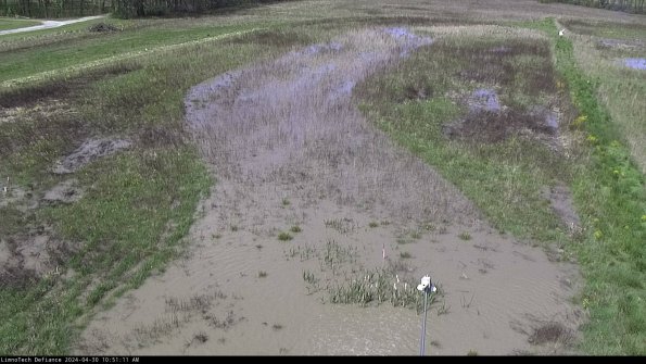 Cell 1_24-04-30_10-51-12-33