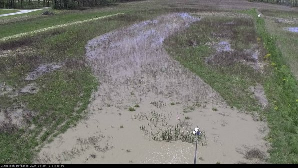 Cell 1_24-04-30_12-31-41-32