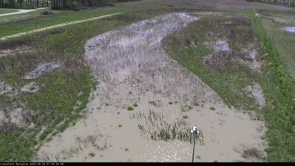 Cell 1_24-04-30_13-38-39-33