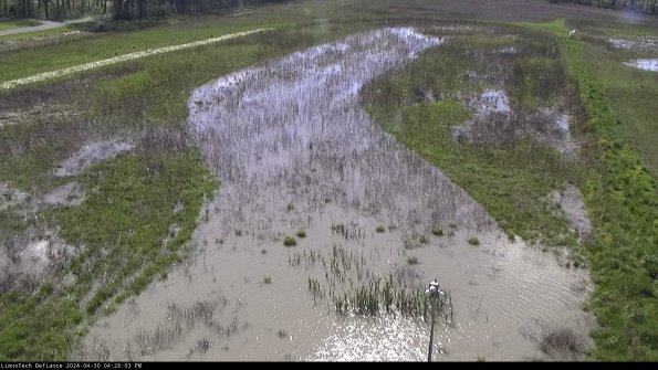 Cell 1_24-04-30_16-26-04-32