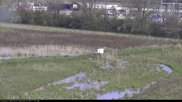 Cell 2 to 3_24-04-30_09-11-23-47