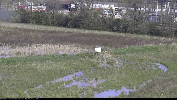 Cell 2 to 3_24-04-30_09-44-52-59