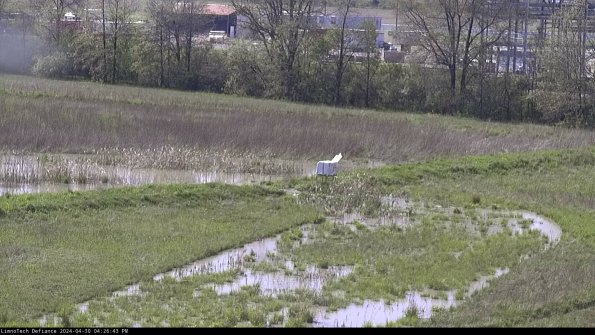 Cell 2 to 3_24-04-30_16-26-44-43