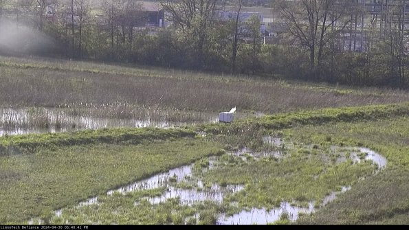 Cell 2 to 3_24-04-30_18-40-43-42