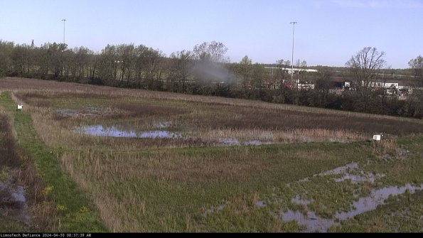 Cell 2_24-04-30_08-37-40-38