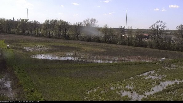 Cell 2_24-04-30_16-26-31-35