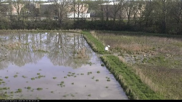 Cell 3 to 4_24-04-30_08-38-22-32