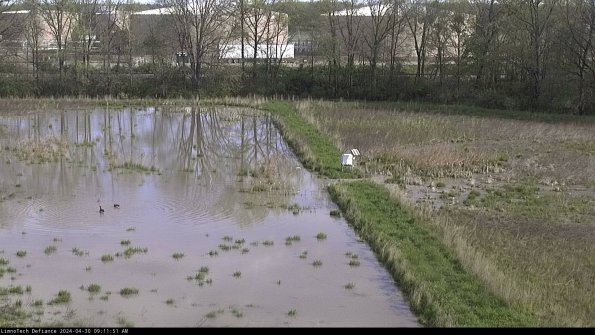 Cell 3 to 4_24-04-30_09-11-52-33