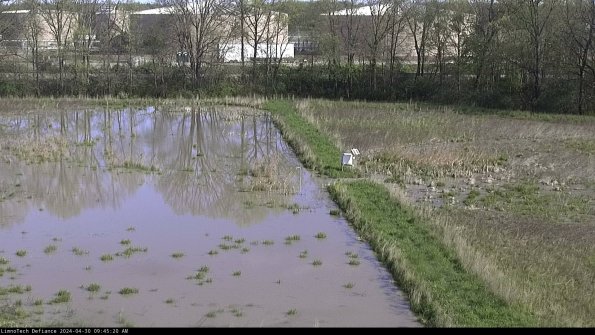 Cell 3 to 4_24-04-30_09-45-21-32