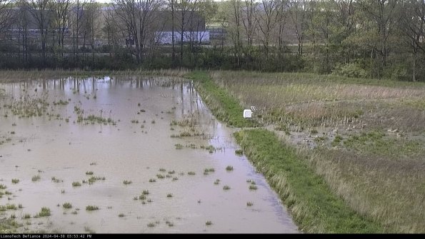 Cell 3 to 4_24-04-30_15-53-43-31