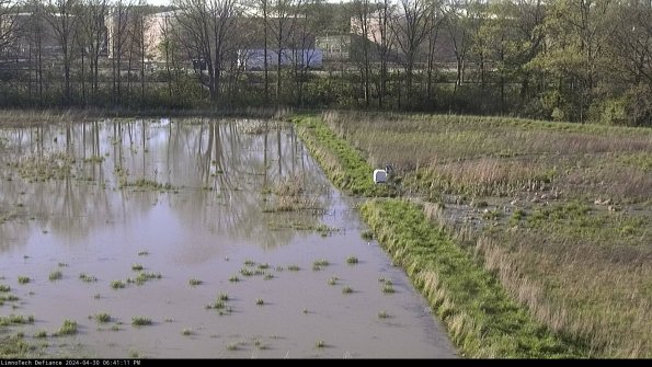 Cell 3 to 4_24-04-30_18-41-12-31