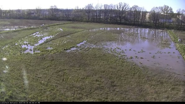 Cell 3_24-04-30_18-40-58-33