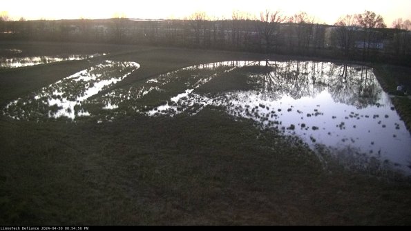 Cell 3_24-04-30_20-54-57-35